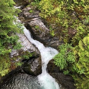 Meet your Posher, Brandy